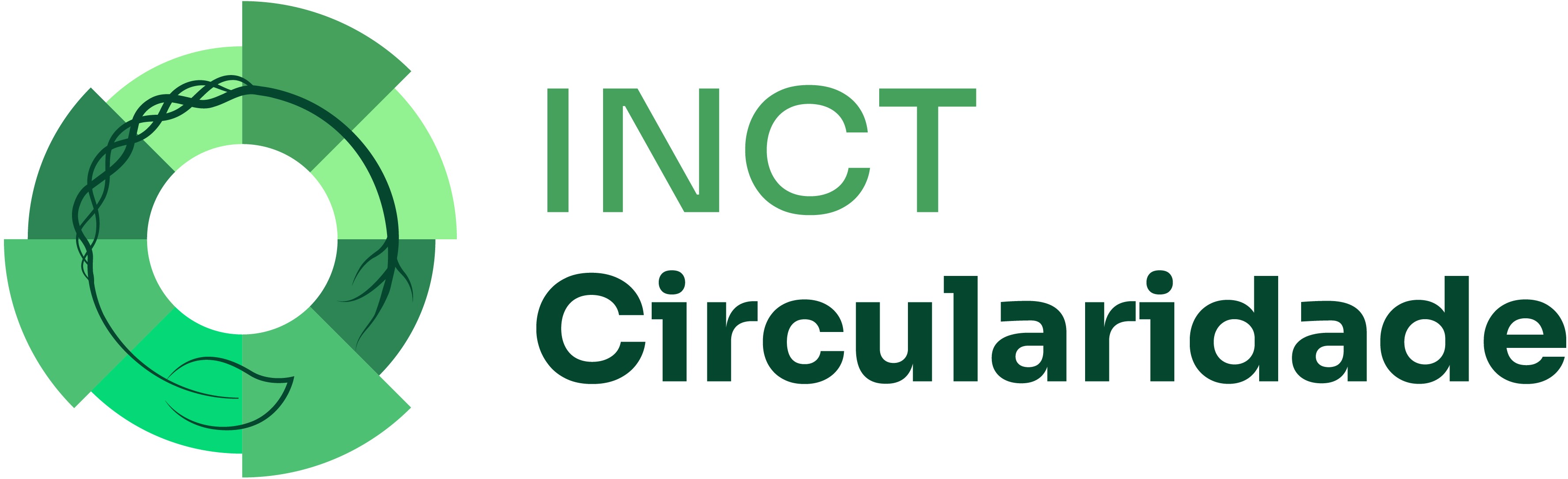 INCT Circularidade Logo